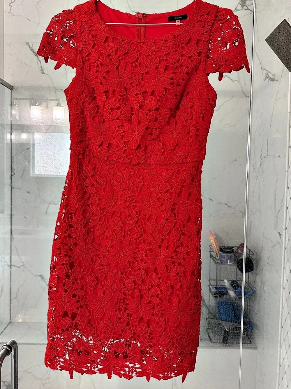 J.Crew Red Lace Mini Dress